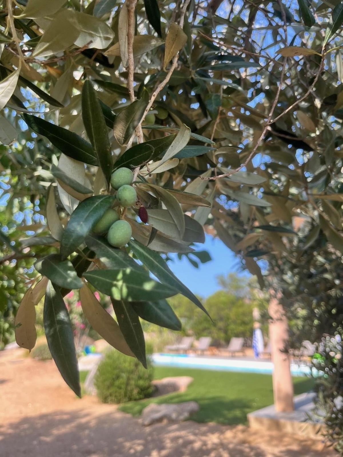Fiori Vecchio Avec Piscine Privee Villa Porto-Vecchio (Corsica)