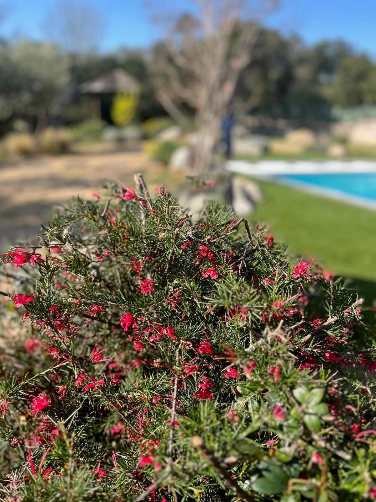 Villa Fiori Vecchio Avec Piscine Privee *