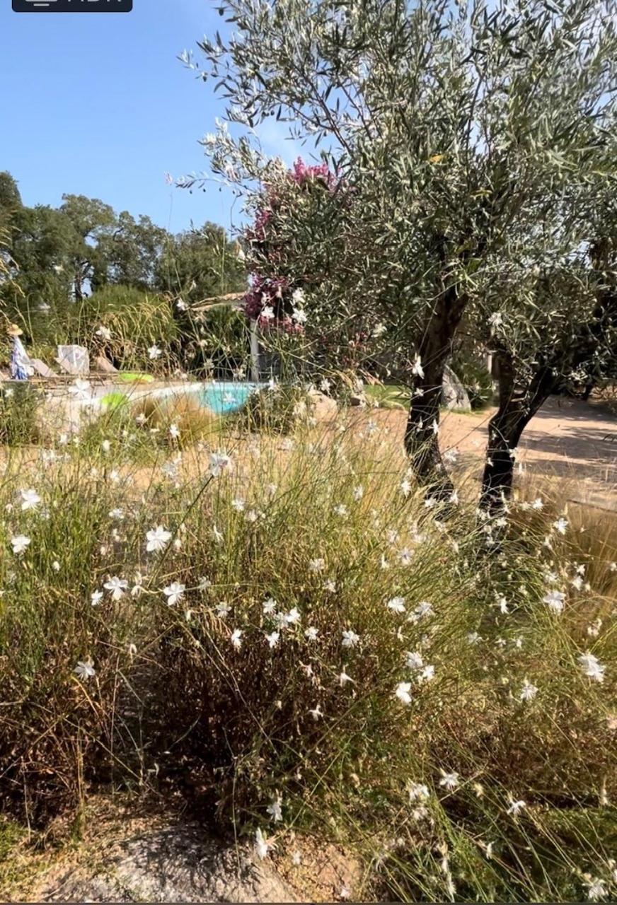 Fiori Vecchio Avec Piscine Privee Porto-Vecchio (Corsica)